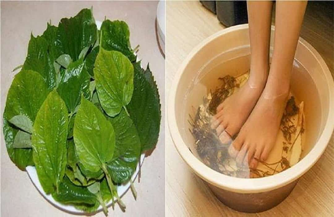 Trị chứng ra nhiều mồ hôi ở tay, chân: