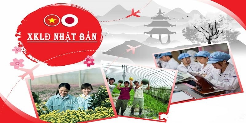 Dự Báo Nhu Cầu Tuyển Dụng Lao Động Nhật Bản Tăng Trong Năm 2024